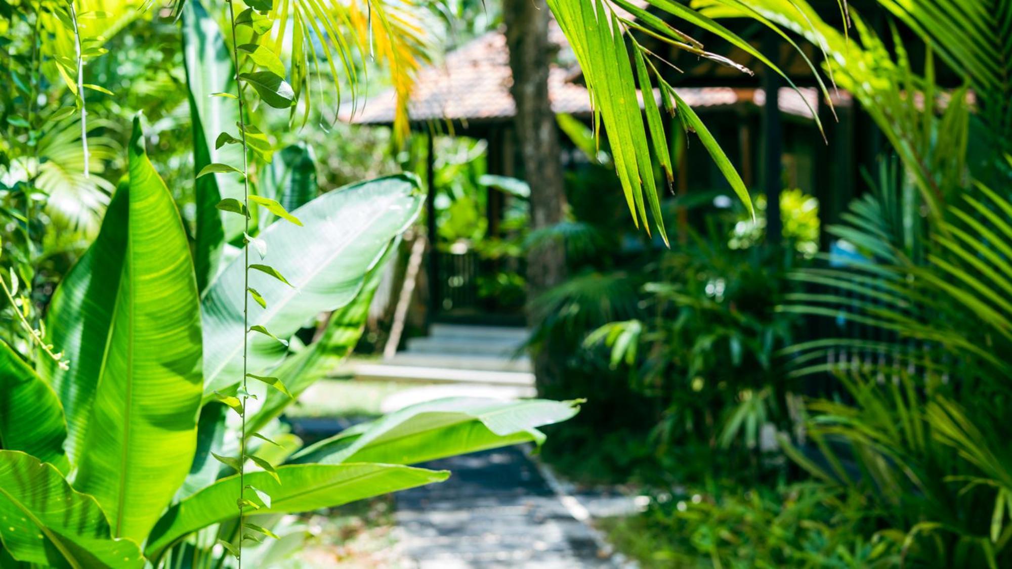 Onaya Bali Resort - Adults Only 울루와뚜 외부 사진
